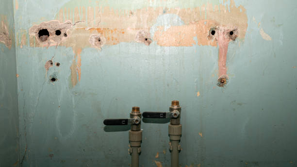 Best Ceiling water damage repair  in Kermit, TX